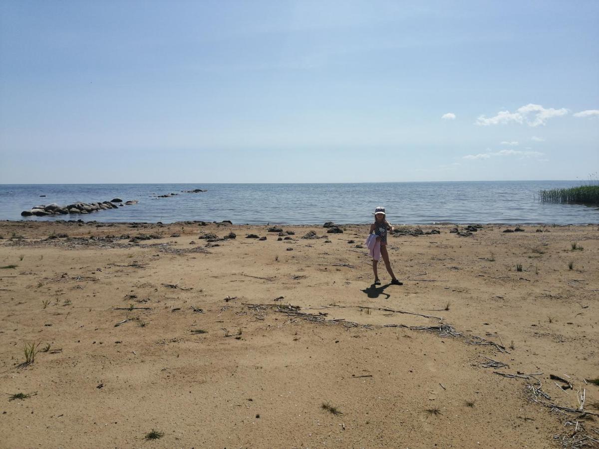 Raehni Peipsi Holiday home *